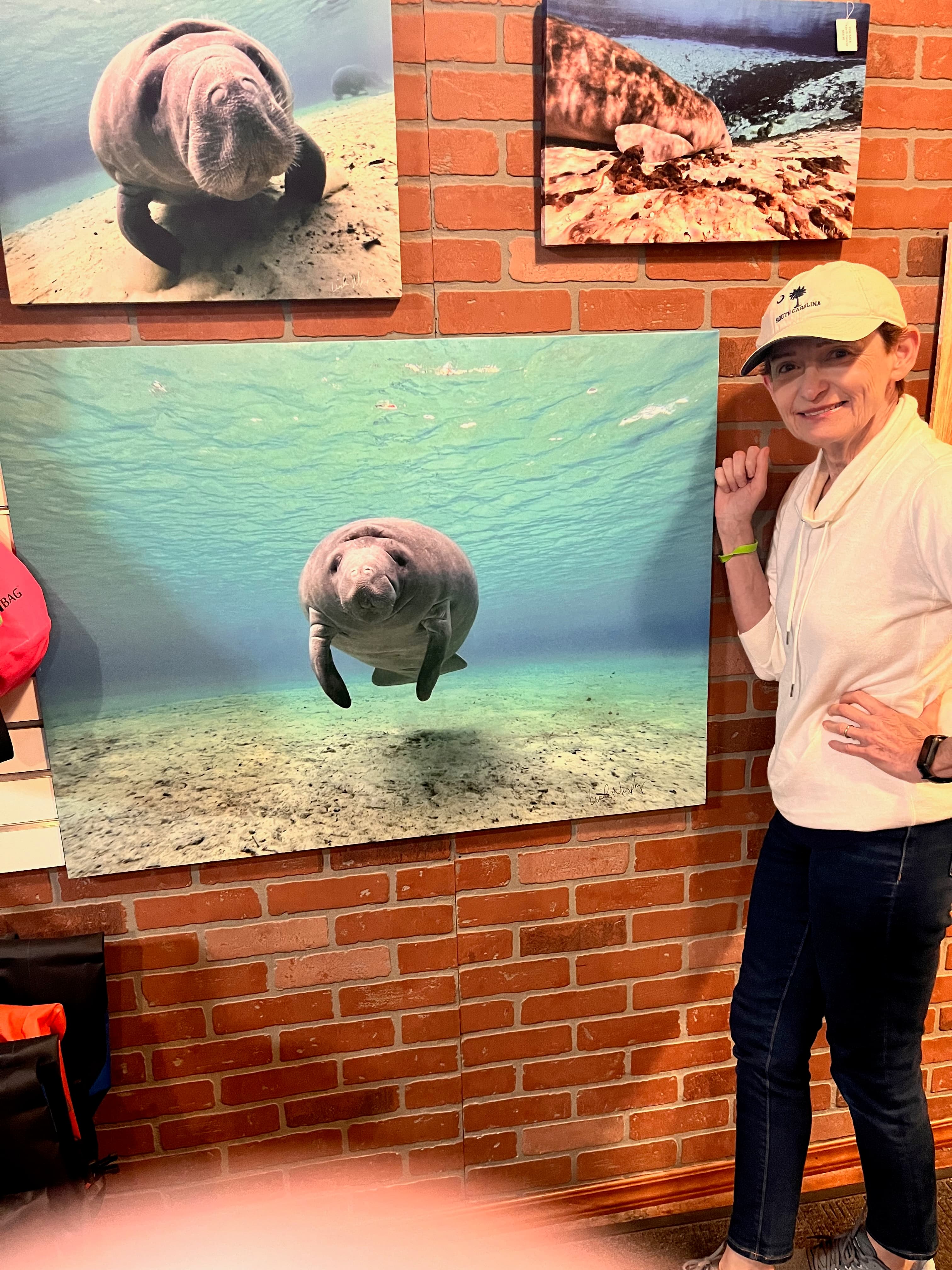 Melon swimming with the manatees